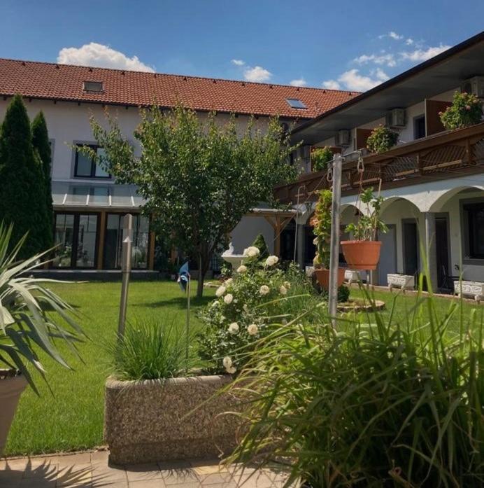 Gaestehaus Und Weinbau Zur Wiederkehr Strudler Podersdorf am See Buitenkant foto